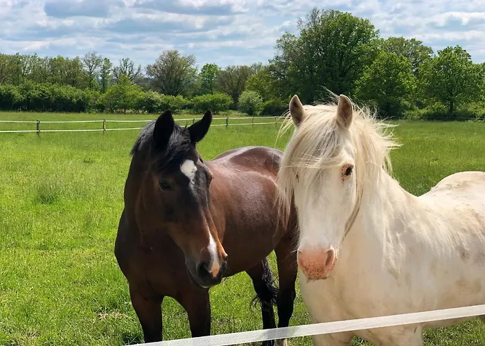 Lejlighed Prachtige Met Airconditioning 