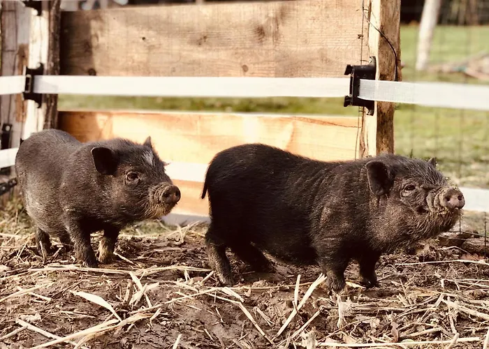 Prachtige Met Airconditioning 